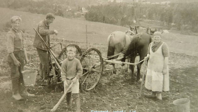 Historiske vedtekter